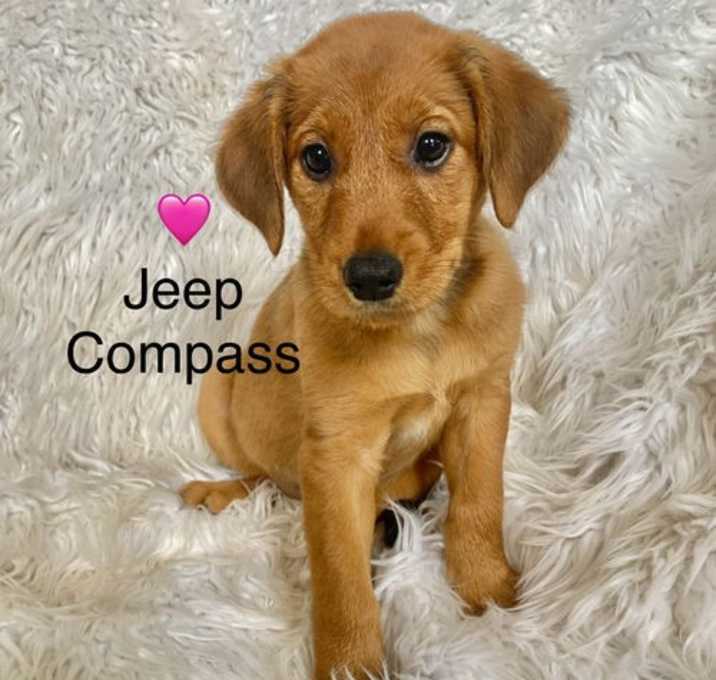 Photo of Jeep Compass