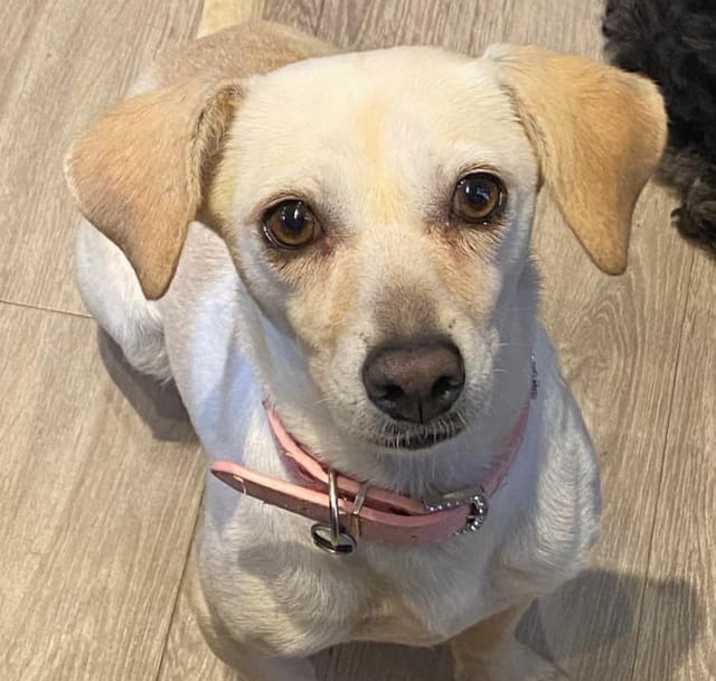 Photo of Missy