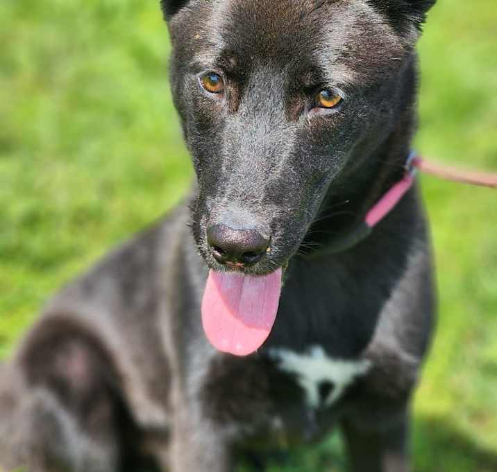 Photo of Thunder