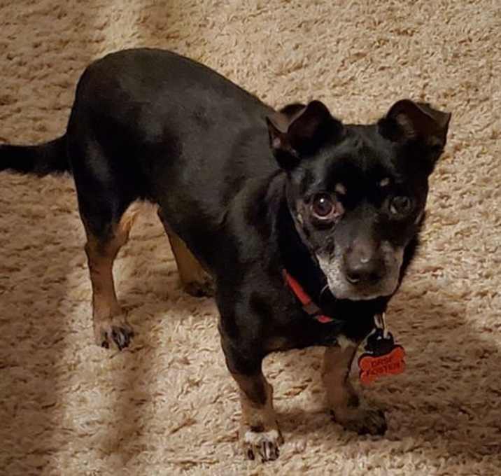 Photo of Edison