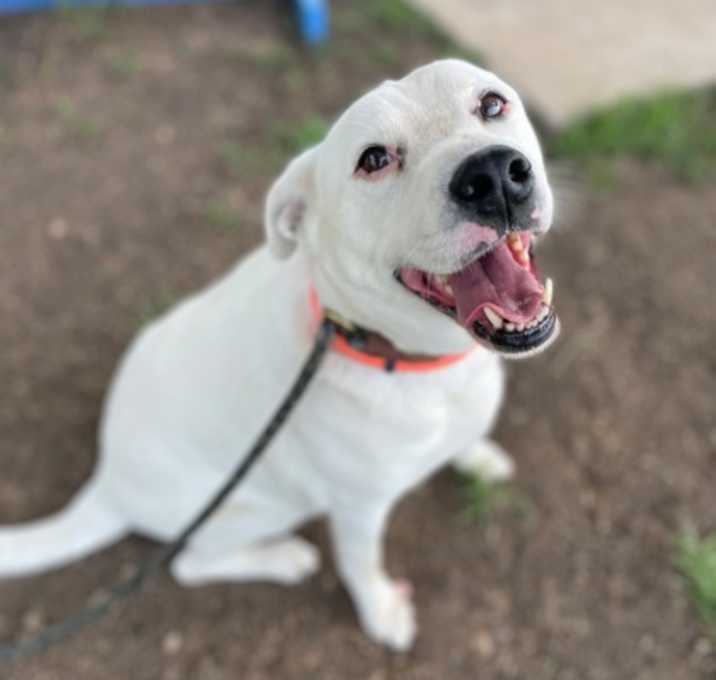 Photo of Sam