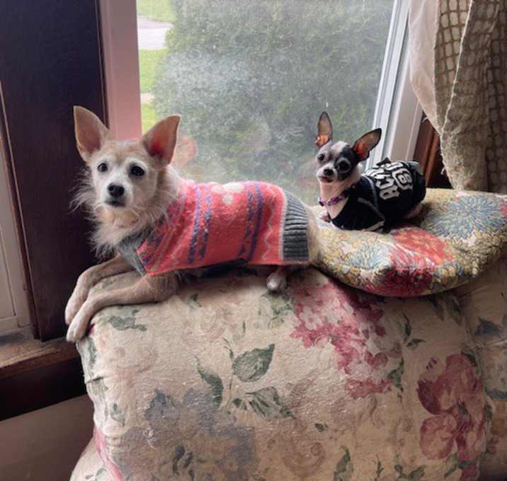 Photo of Dexter & Sophie