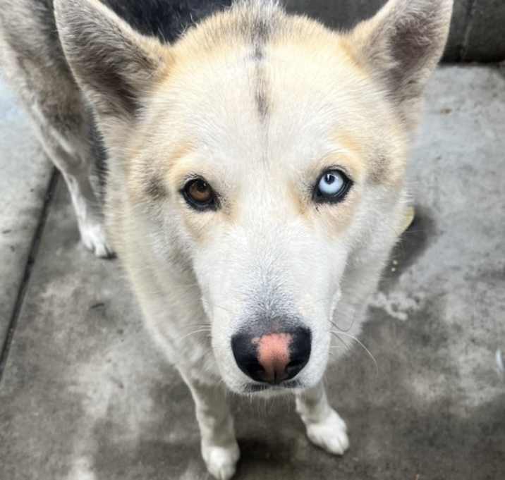 Photo of Naru