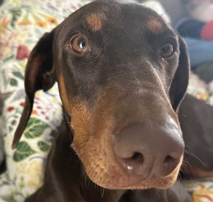 Photo of Mabel
