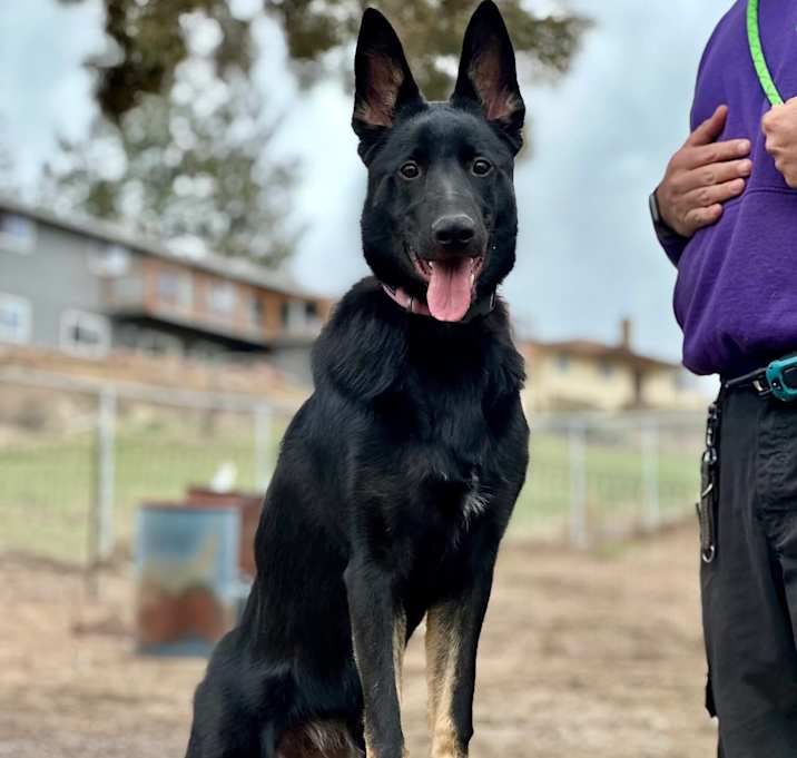 Photo of Echo