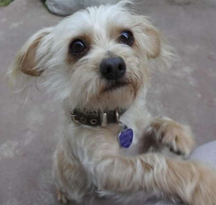 Photo of Lil' Bit aka Fred