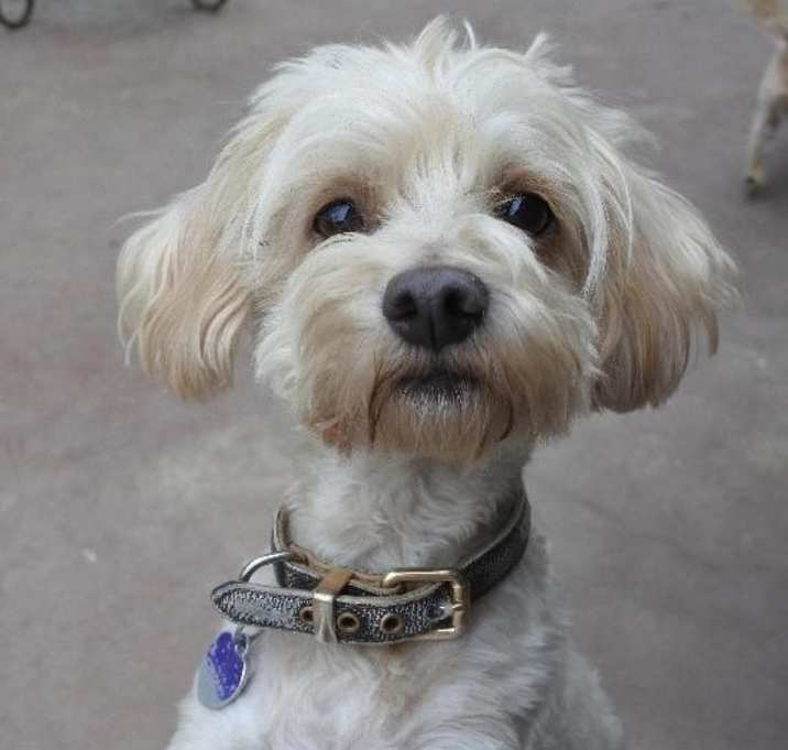 Photo of Murray