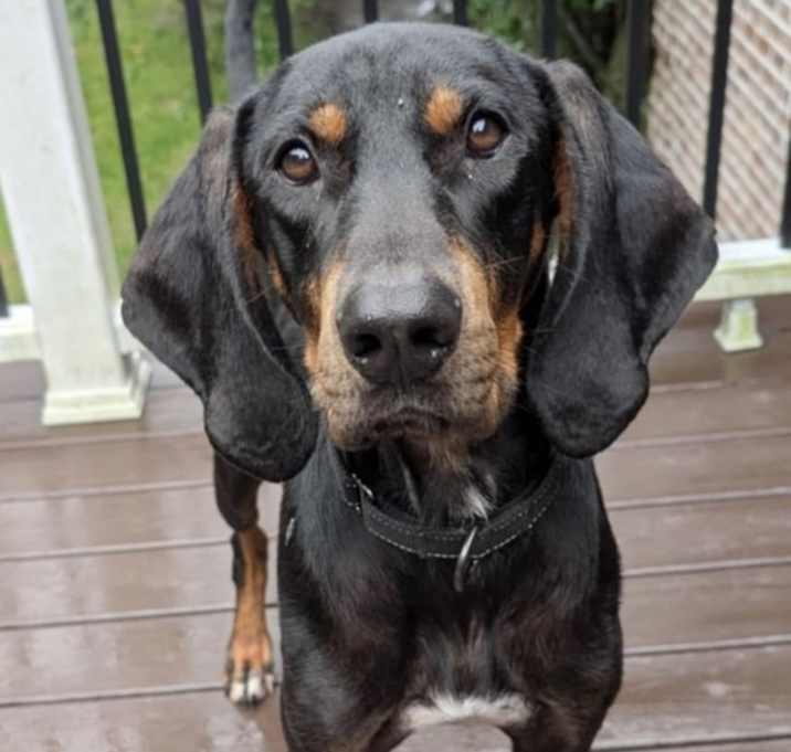 Photo of Luther