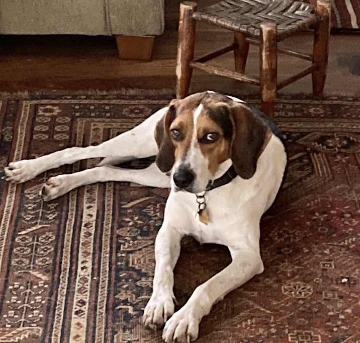 Photo of Walter