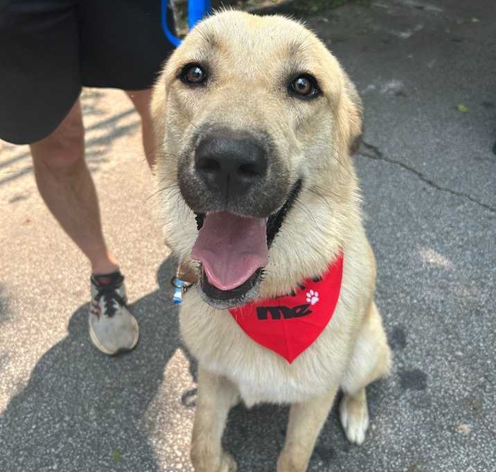 Photo of Charlie