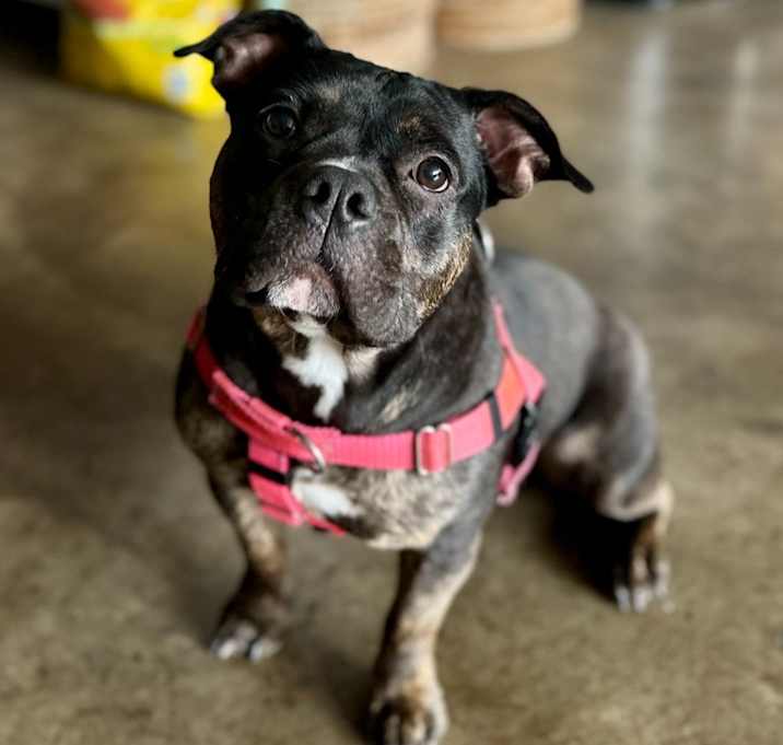 Photo of Lucy