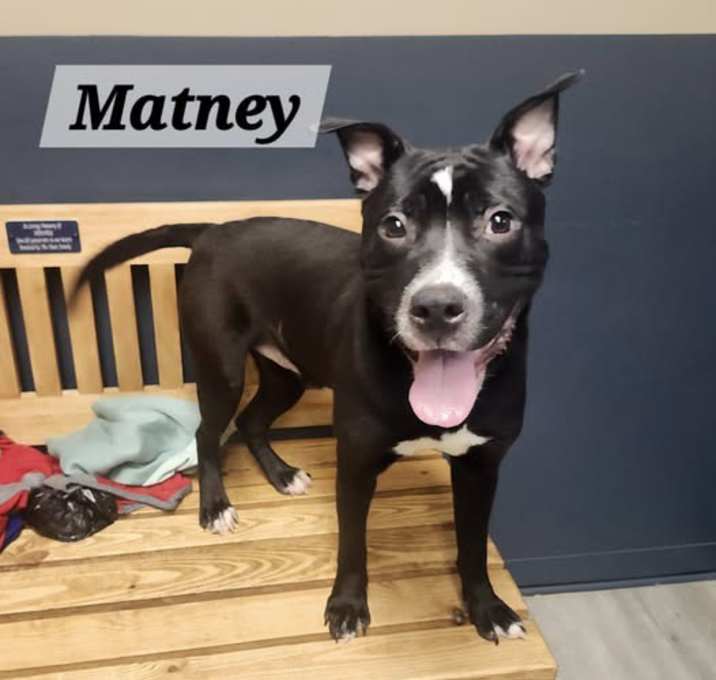 Photo of Matney