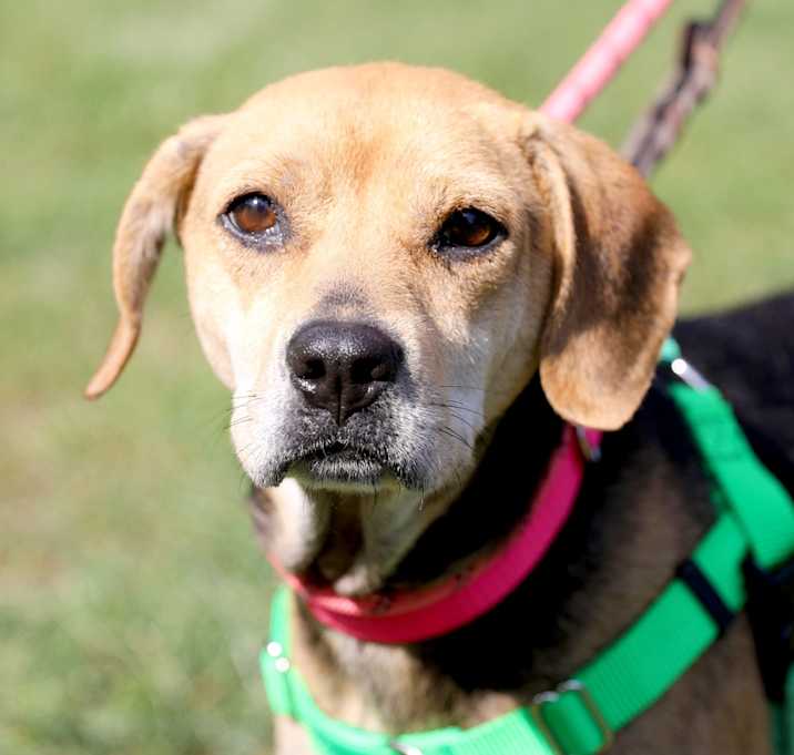Photo of JOLENE