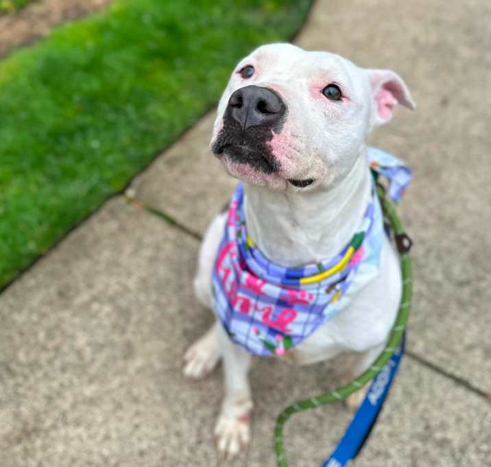 Photo of Diva