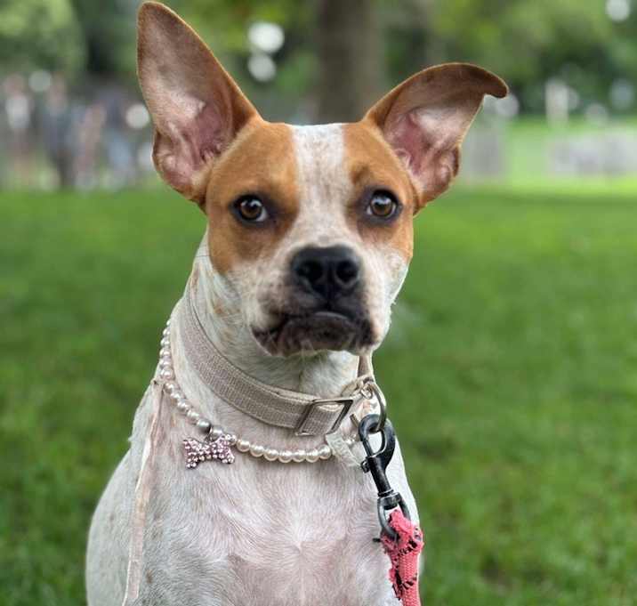 Photo of Jolene