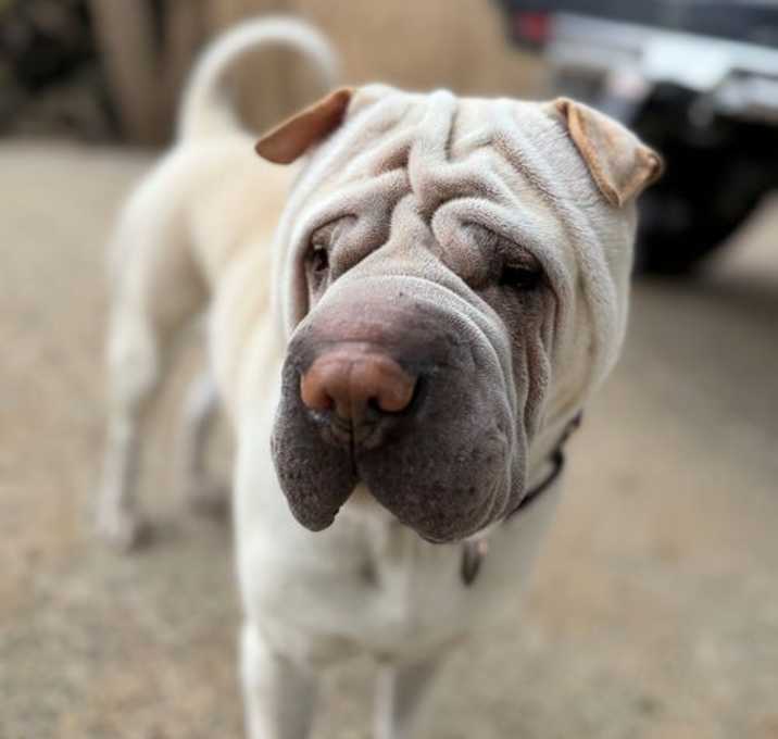 Photo of Frank