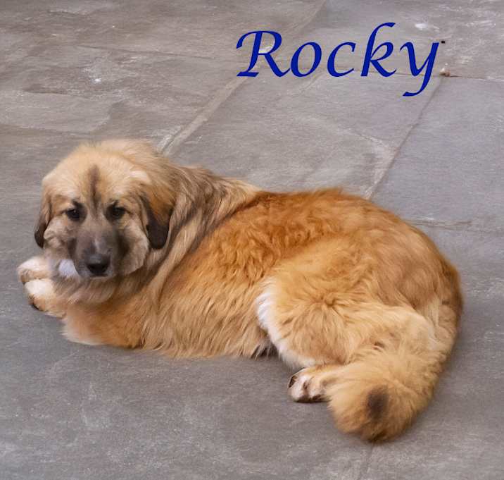 Photo of Rocky D25-064