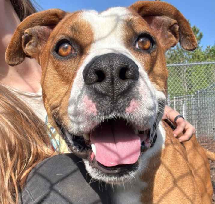 Photo of Murphy