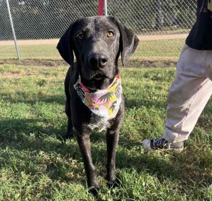 Photo of Sheriff