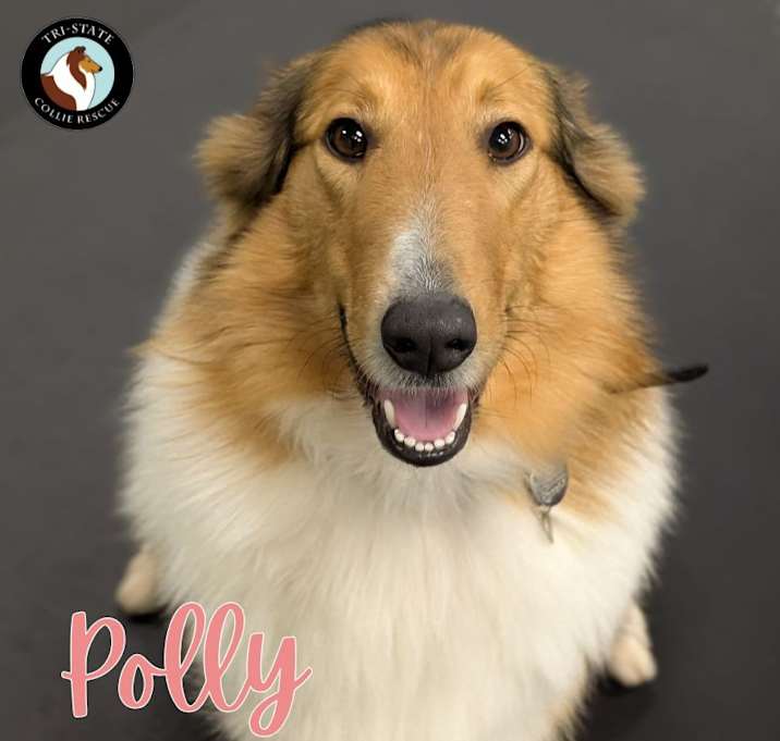 Photo of Polly