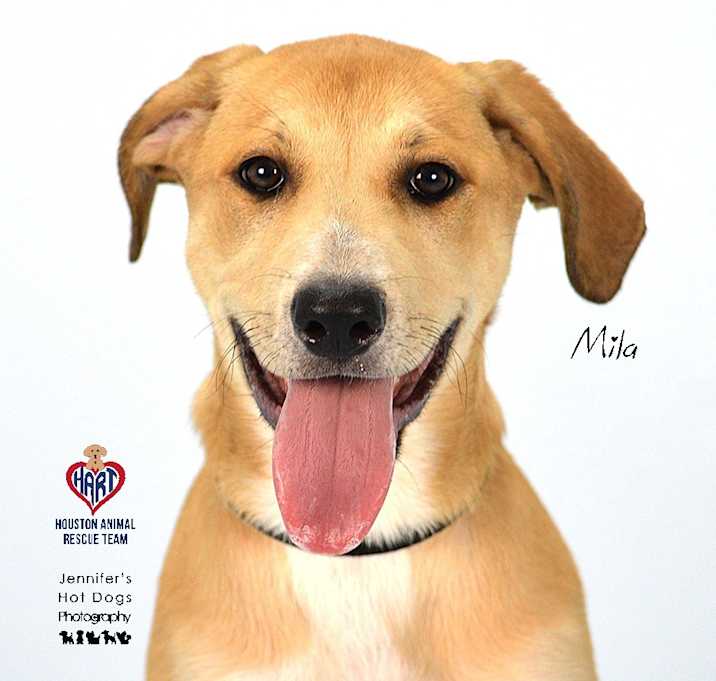 Photo of Mila