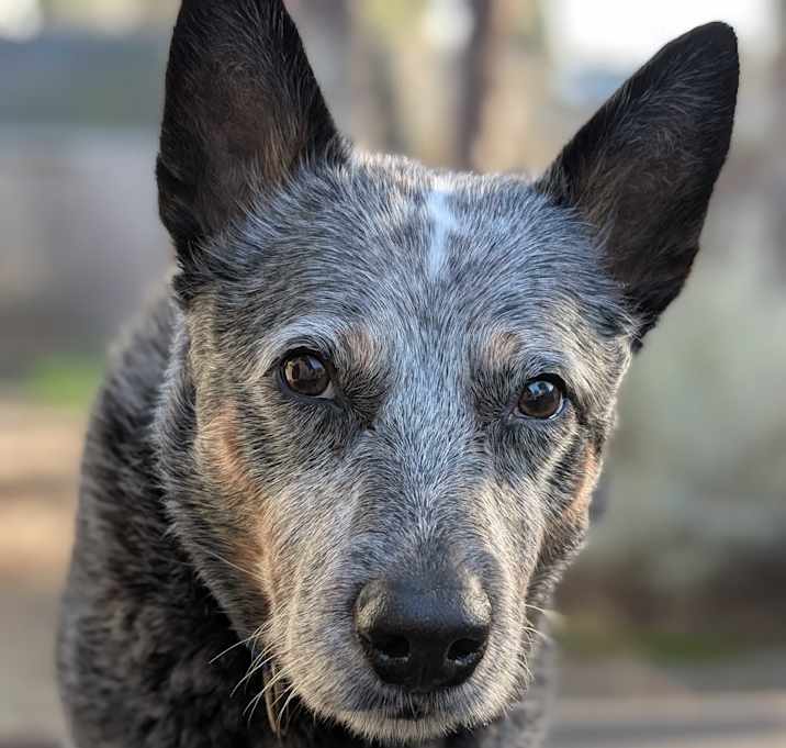 Photo of Chloe
