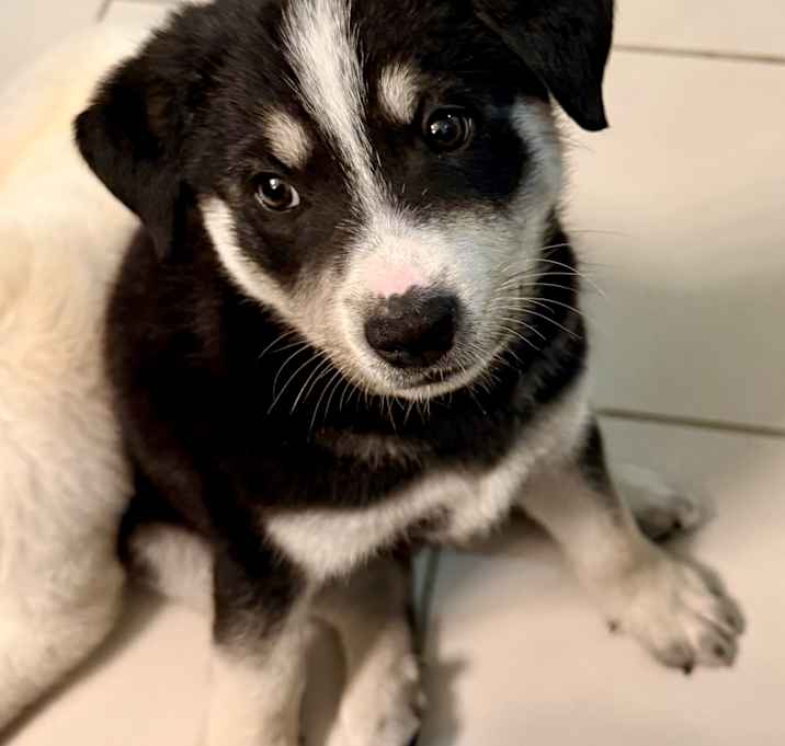 Photo of Luigi