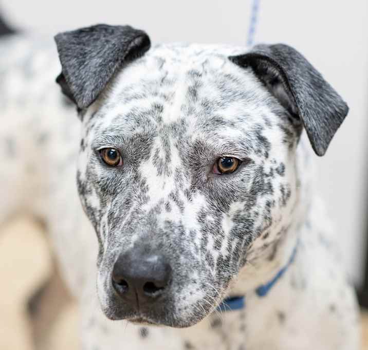 Photo of BONNIE-29175