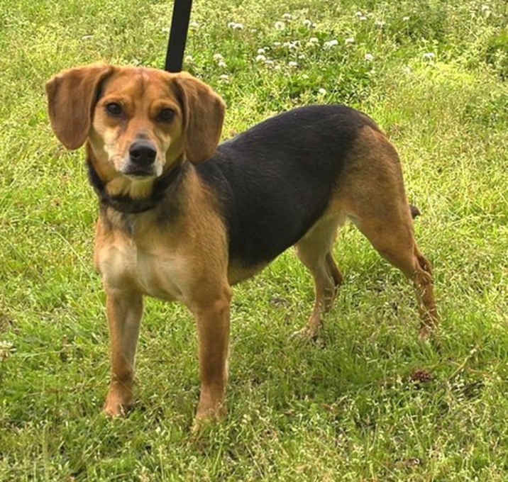 Photo of 250557   Millie