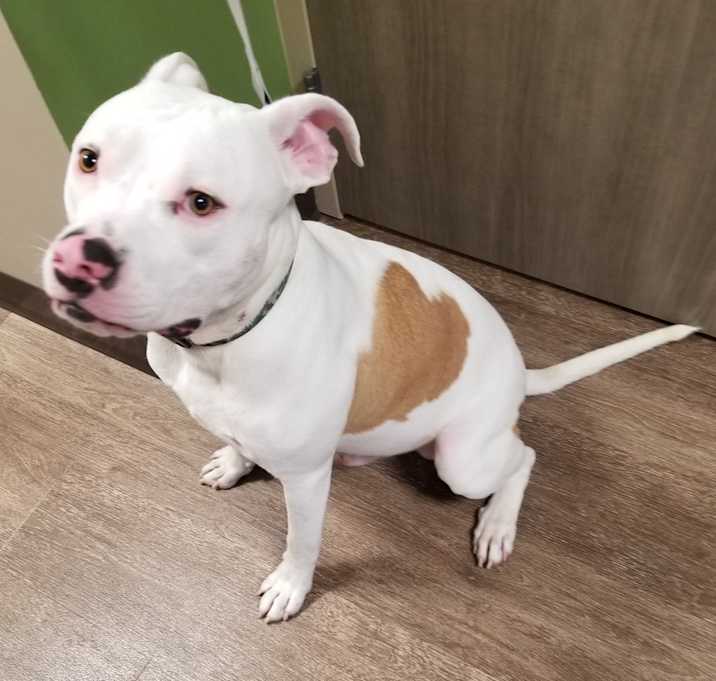 Photo of Oakley