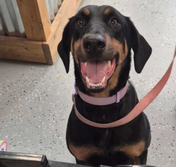 Photo of Delilah