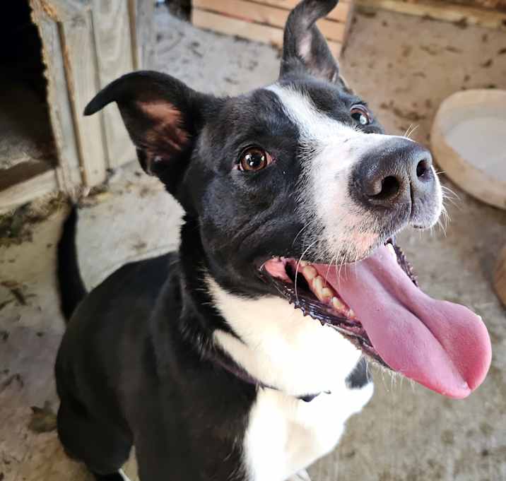 Photo of Xena