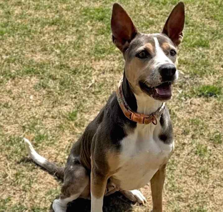 Photo of Sammie