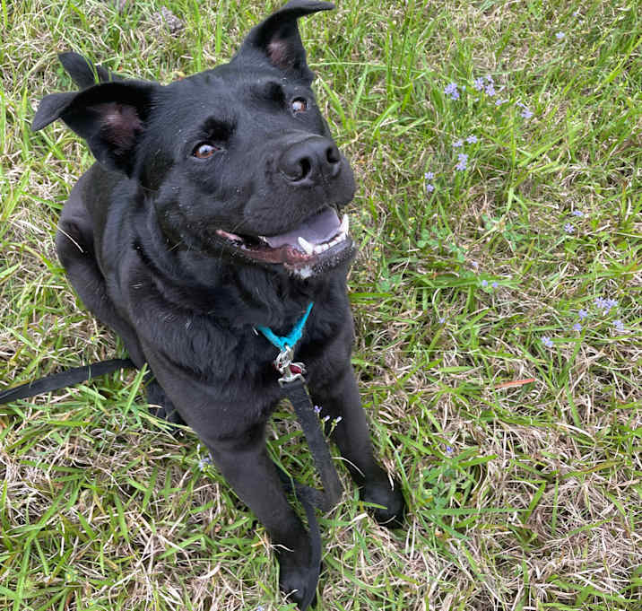 Photo of Truffle