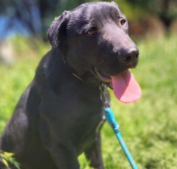 Photo of Maverick