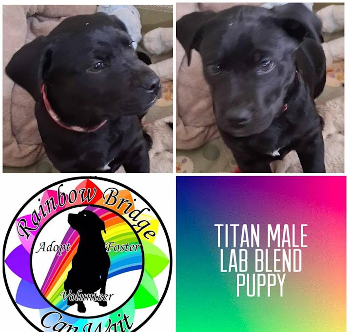 Photo of Titan