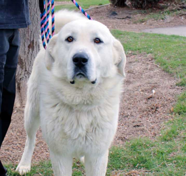 Photo of Max