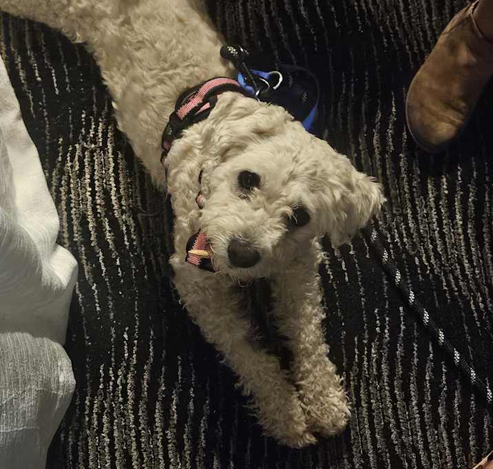 Photo of Sophie