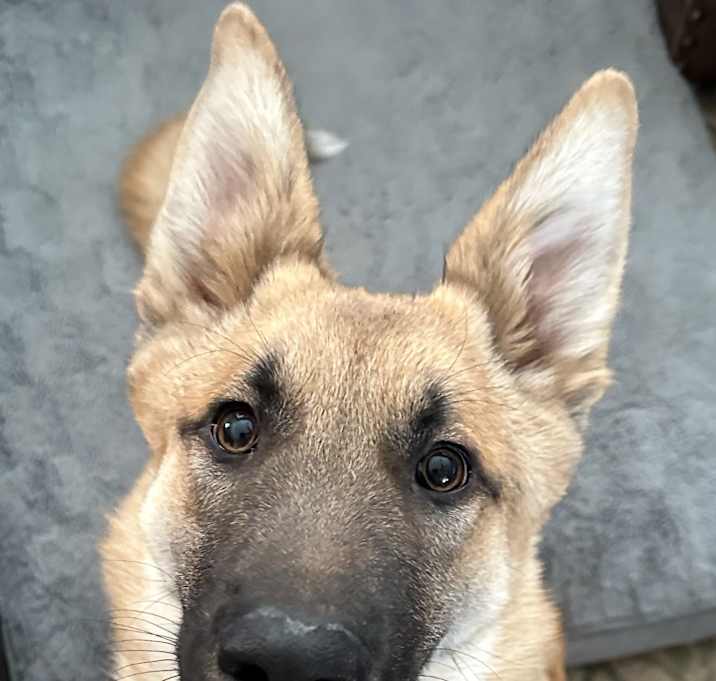 Max Photo #2