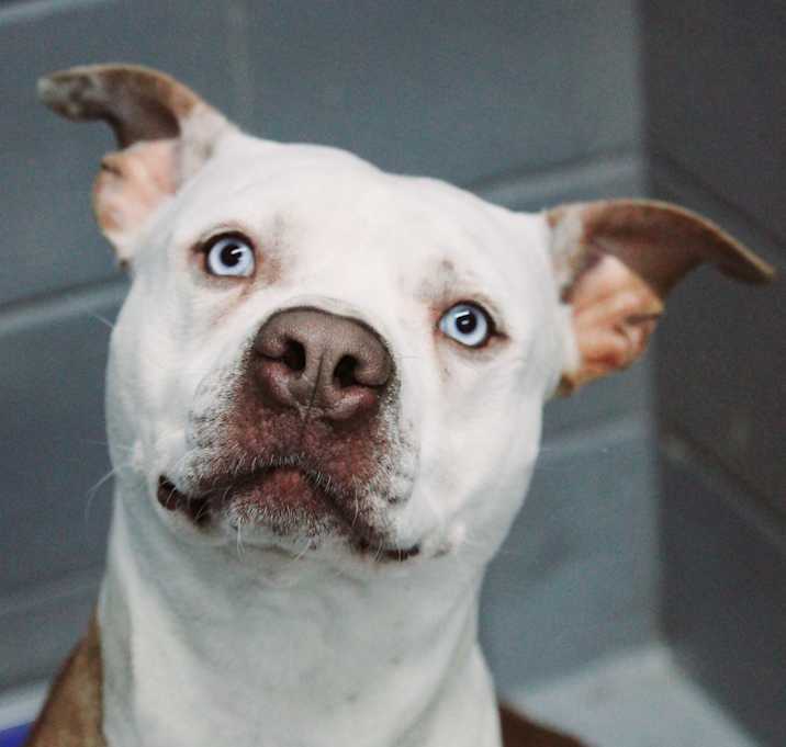 Photo of Ghost