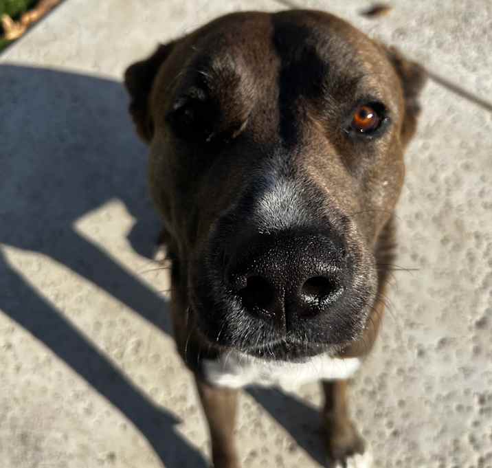 Photo of Whiskey