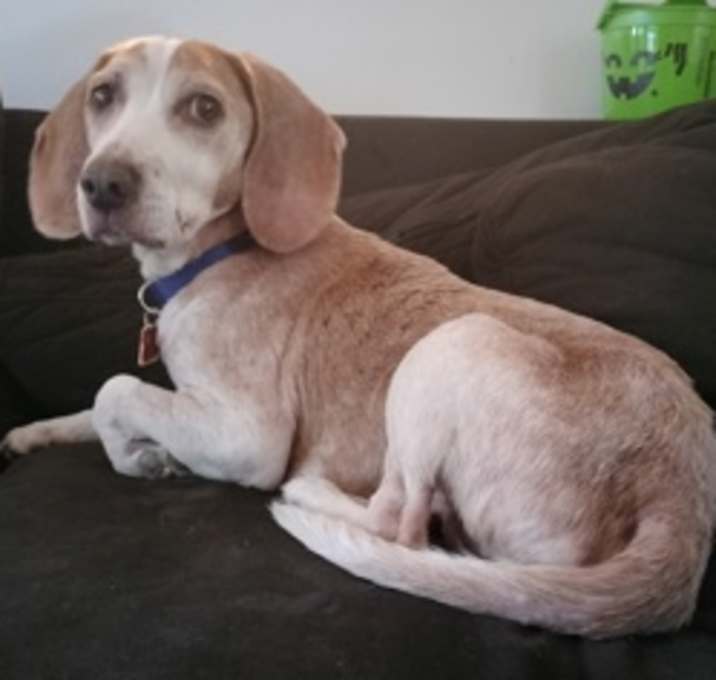 Photo of Lewis 2