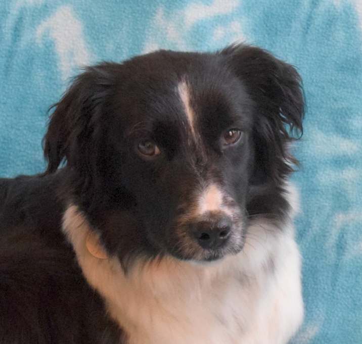 Photo of Zag