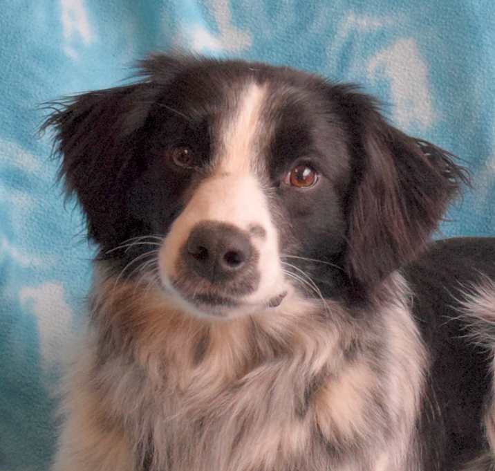 Photo of Zig