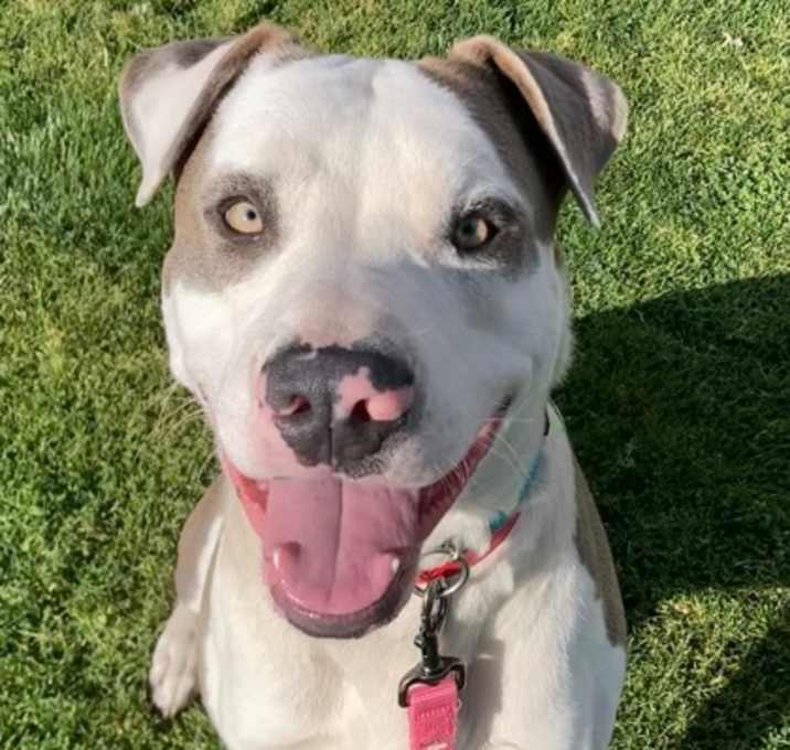 Photo of Patch