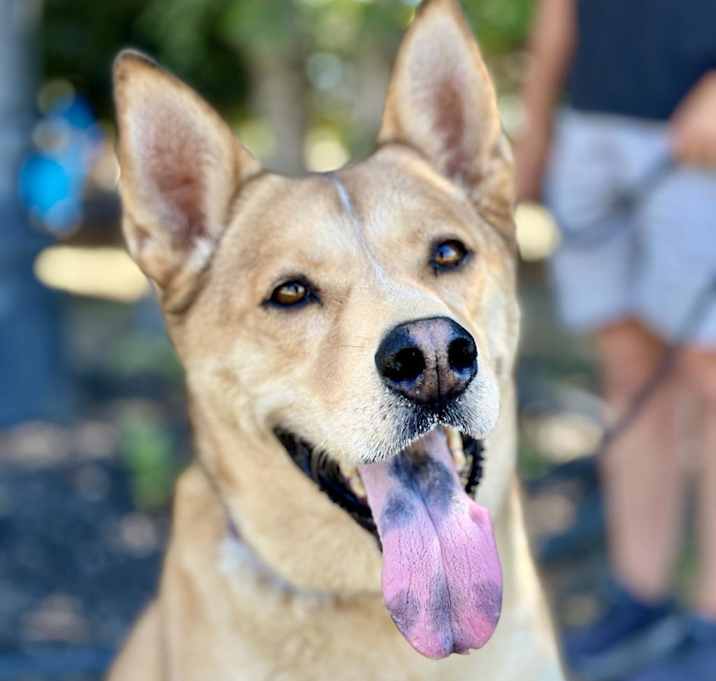 Photo of Buddy