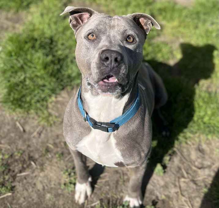 Photo of Blu