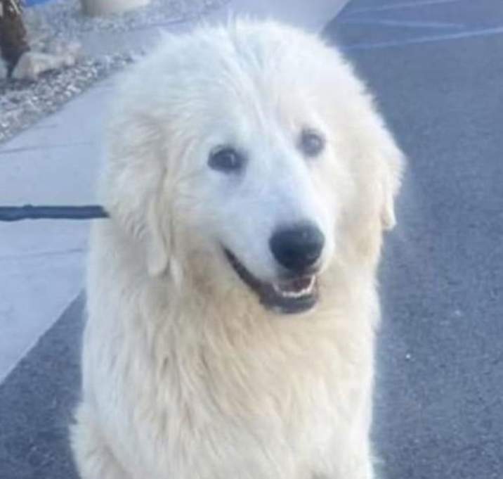 Photo of Yeti