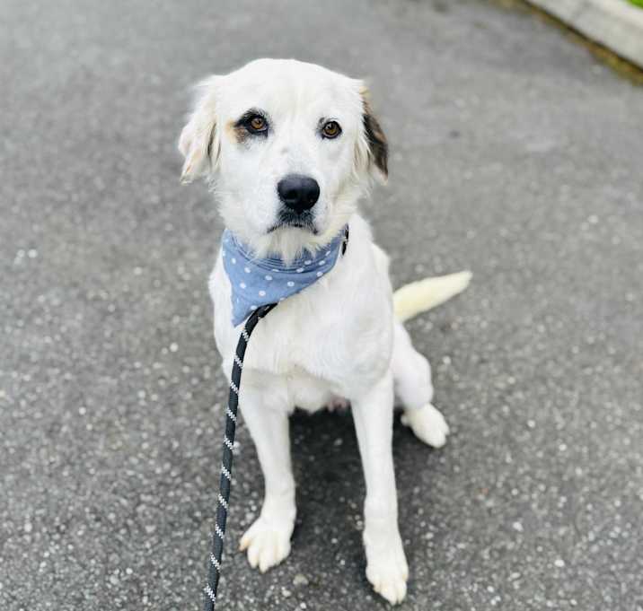 Photo of Echo
