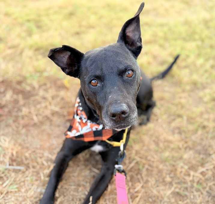Photo of Zeus